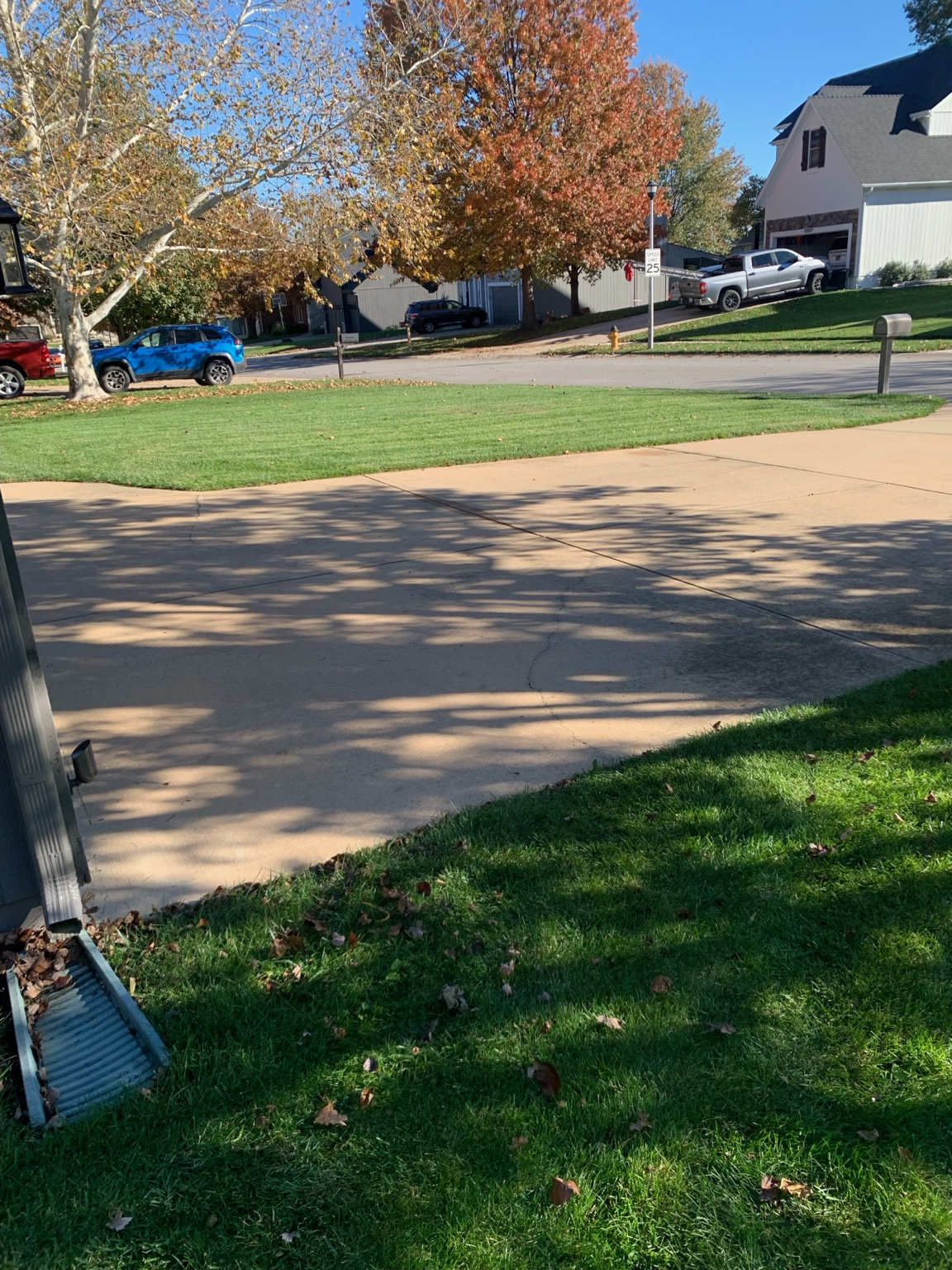 Freshly maintained front yard and driveway