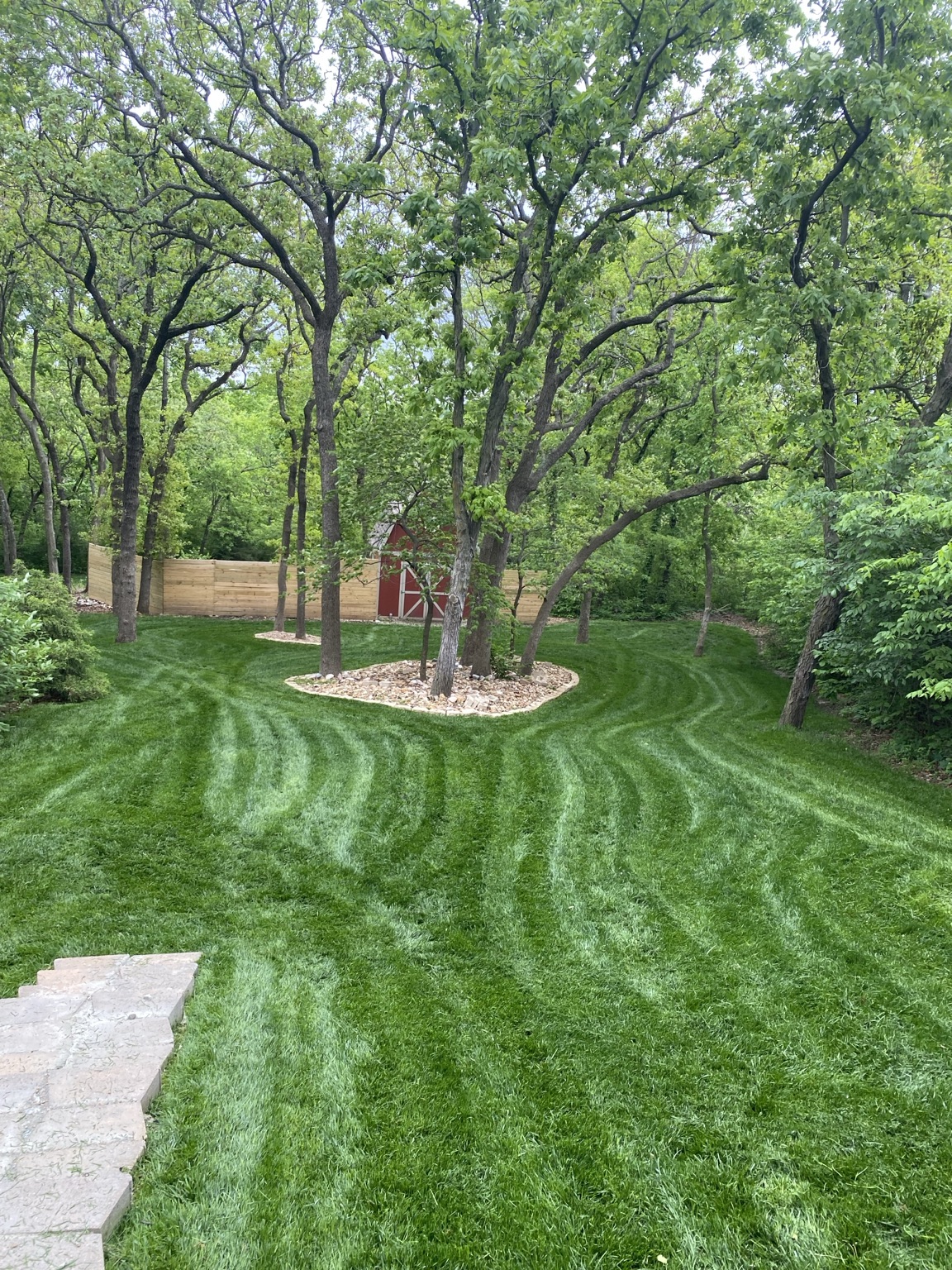 Freshly mowed striped backyard lawn